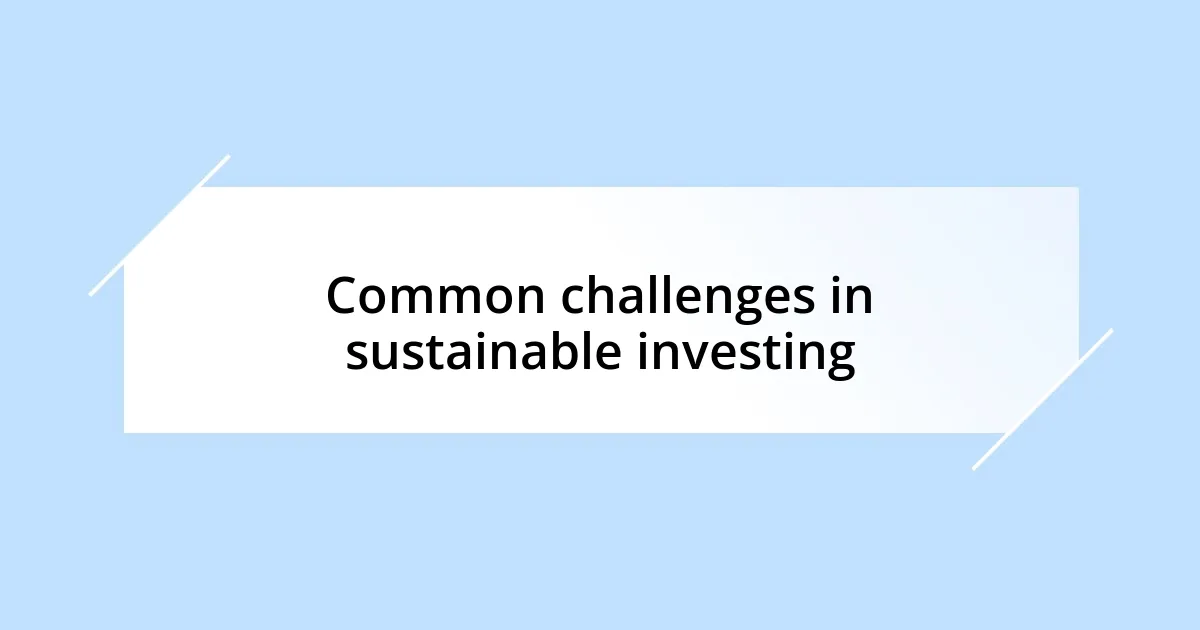 Common challenges in sustainable investing